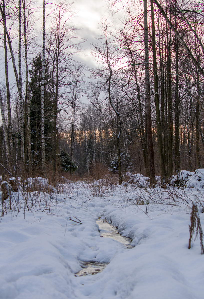 Где-то в Лосином острове 