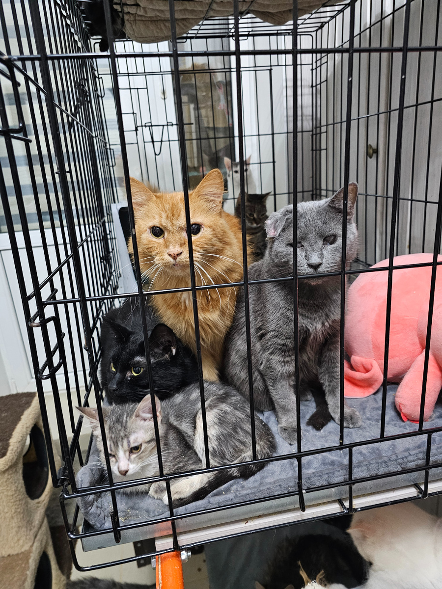 Фото автора. Ребята.