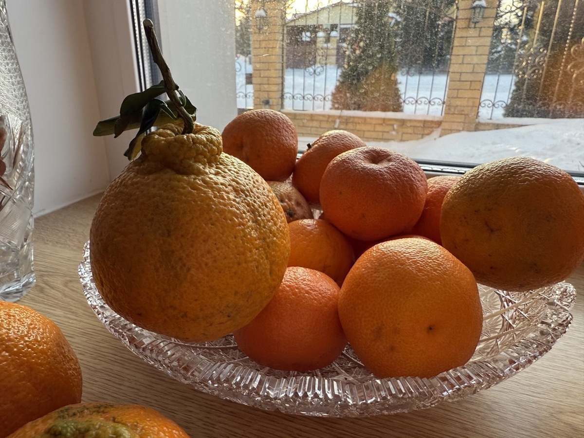 Мандарины