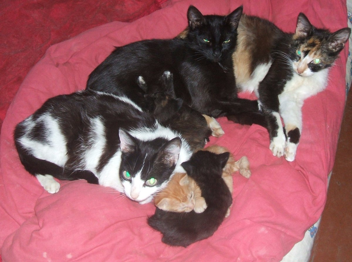 Фото из личного архива