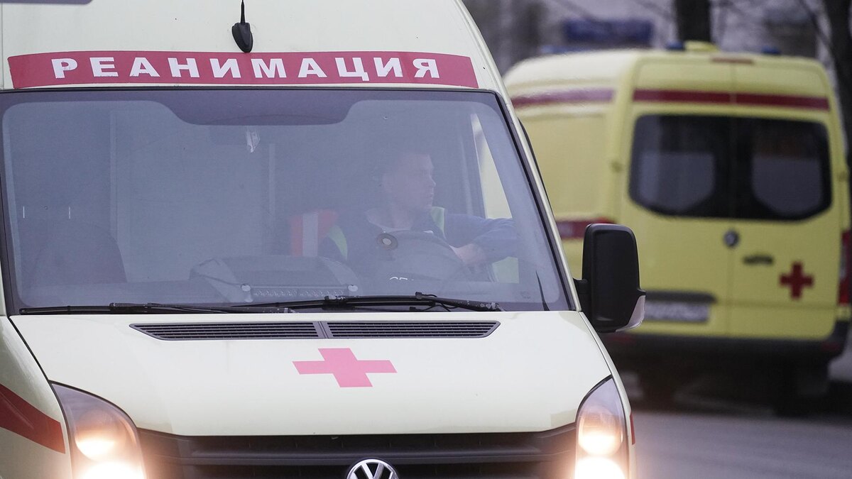    Фото: ИЗВЕСТИЯ/Эдуард Корниенко