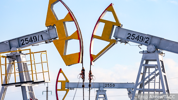     Фото: Егор Алеев/ТАСС   
 Текст: Вера Басилая