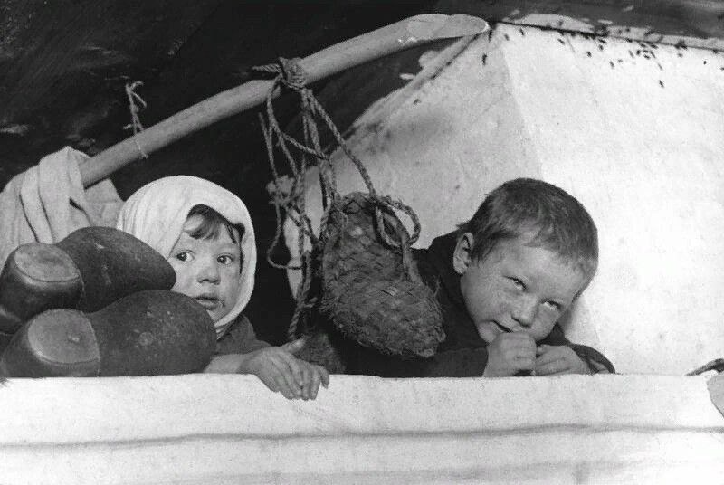 Тараканы на печи