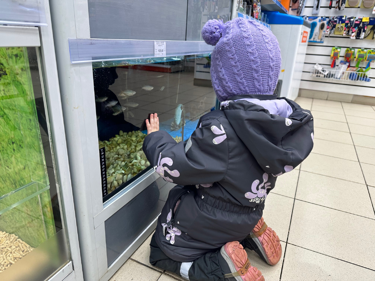 Наше развлечение в плохую погоду.