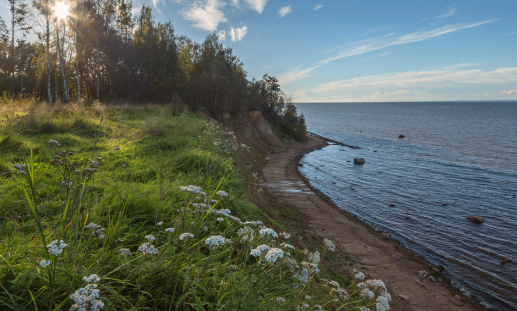 Заказник "Лебяжий". Источник: ooptlo.ru