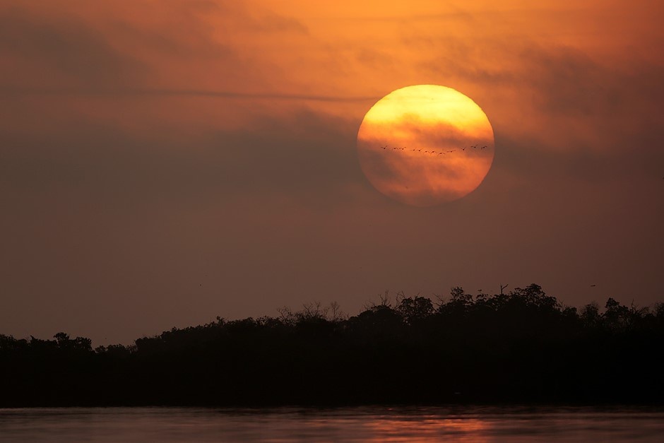    Пейзажный снимок на Canon RF 200-800 с настройками: фокусное расстояние 672 mm, выдержка 1/2500 секунды, диафрагма f/9, ISO 800 / Фото: dpreview.com