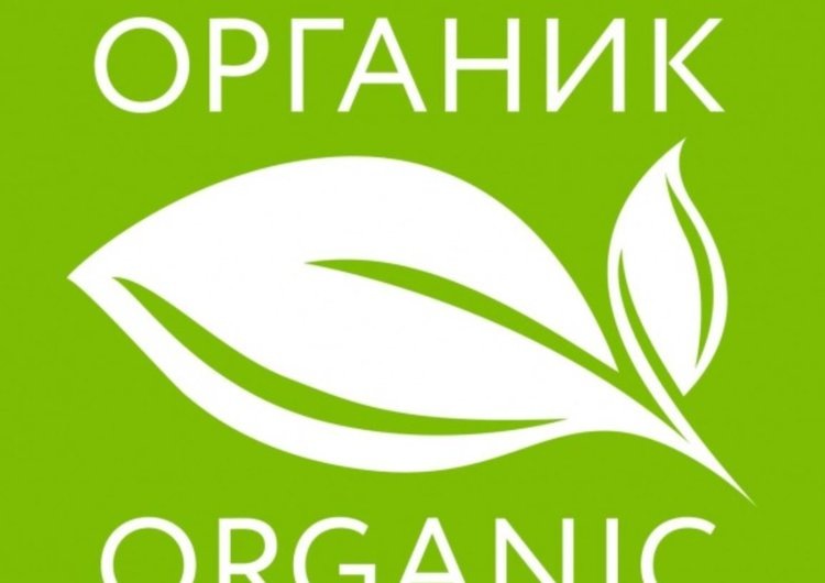    В России новым органическим субъектом стала Карачаево-Черкесская Республика