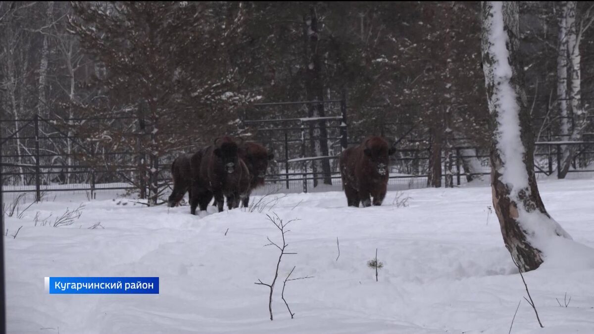    Природные парки Башкирии в новогодние каникулы посетили 2,7 тысячи человек