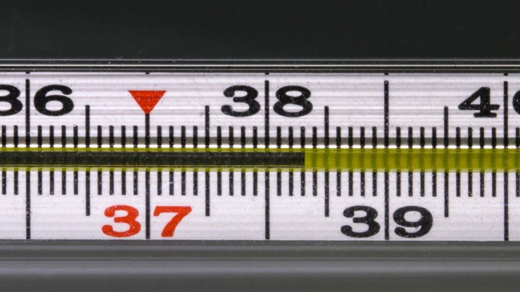    Фото: Aleksander Polyakov/Global Look Press