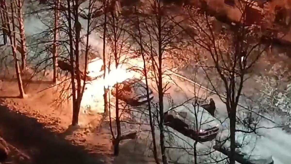    Фото: vk.com/Вечерний Металлострой