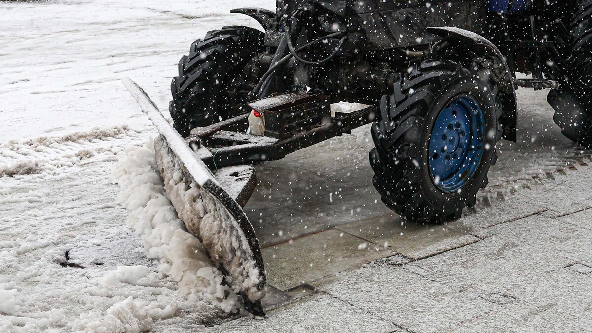    Фото: Andrey Titov/globallookpress.com