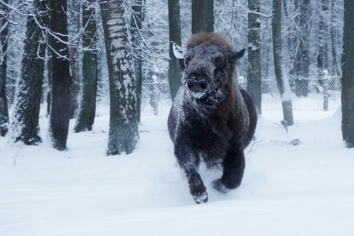 фото: Ольга Калинина