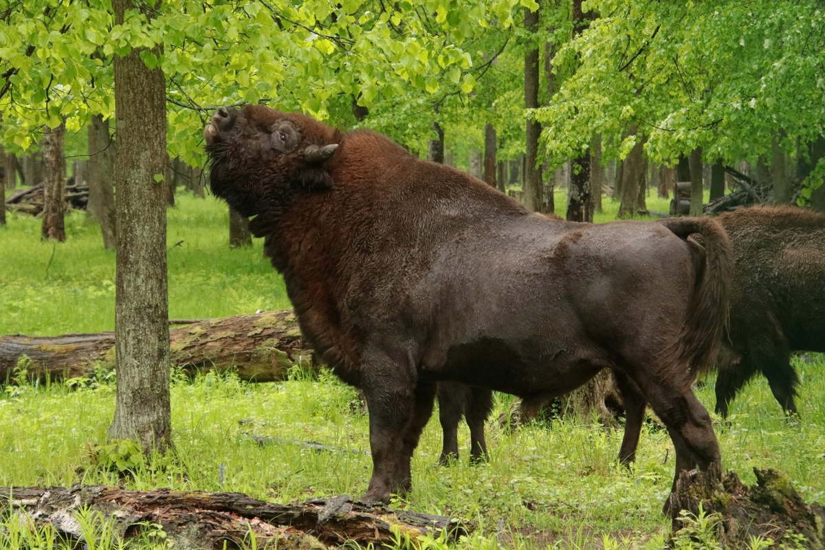 фото: Ольга Калинина
