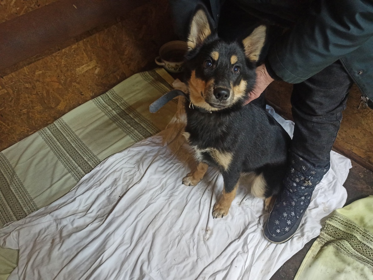 Листайте вправо, чтобы увидеть больше изображений