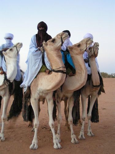 Туареги. Фото из открытых источников.