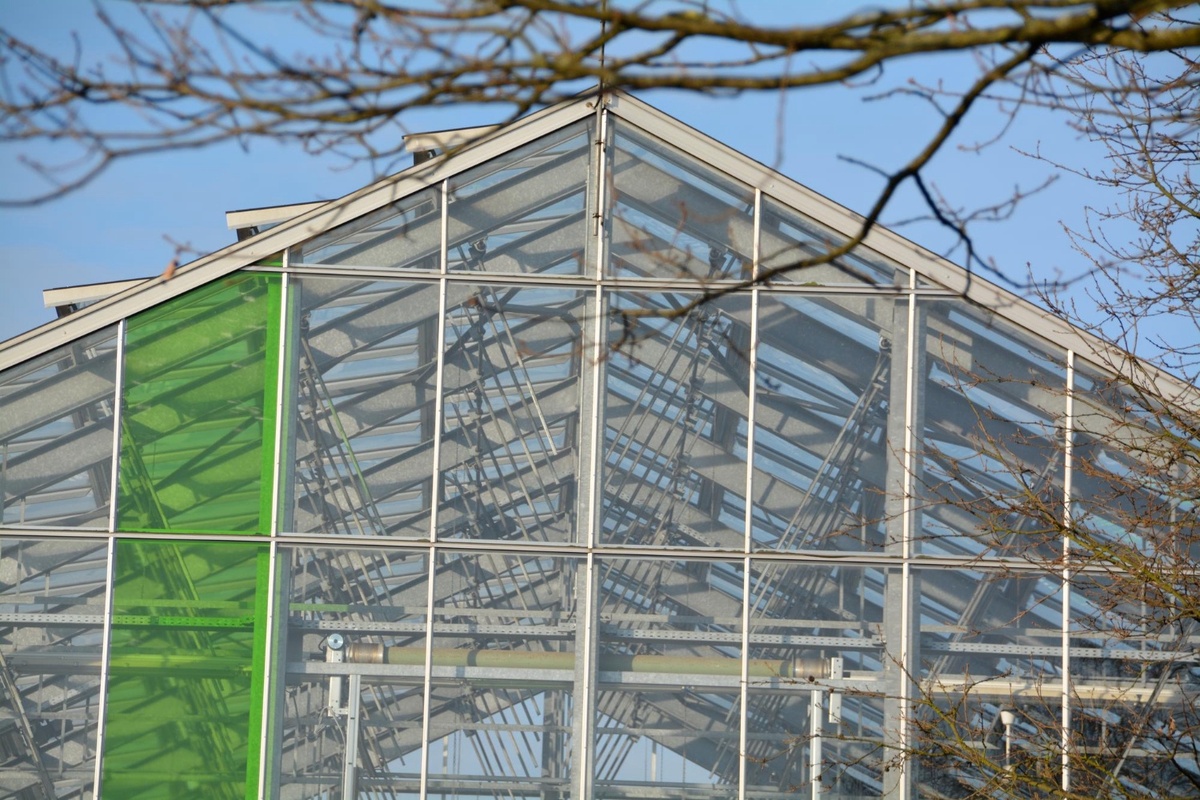 теплица из поликарбоната