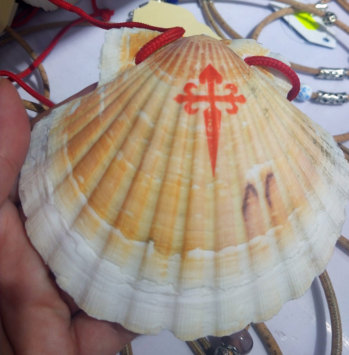 На ракушке изображен символ военно-рыцарского ордена святого Иакова (действует по сей день).