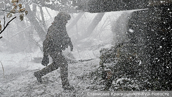     Фото: Станислав Красильников/РИА Новости   
 Текст: Елизавета Шишкова
