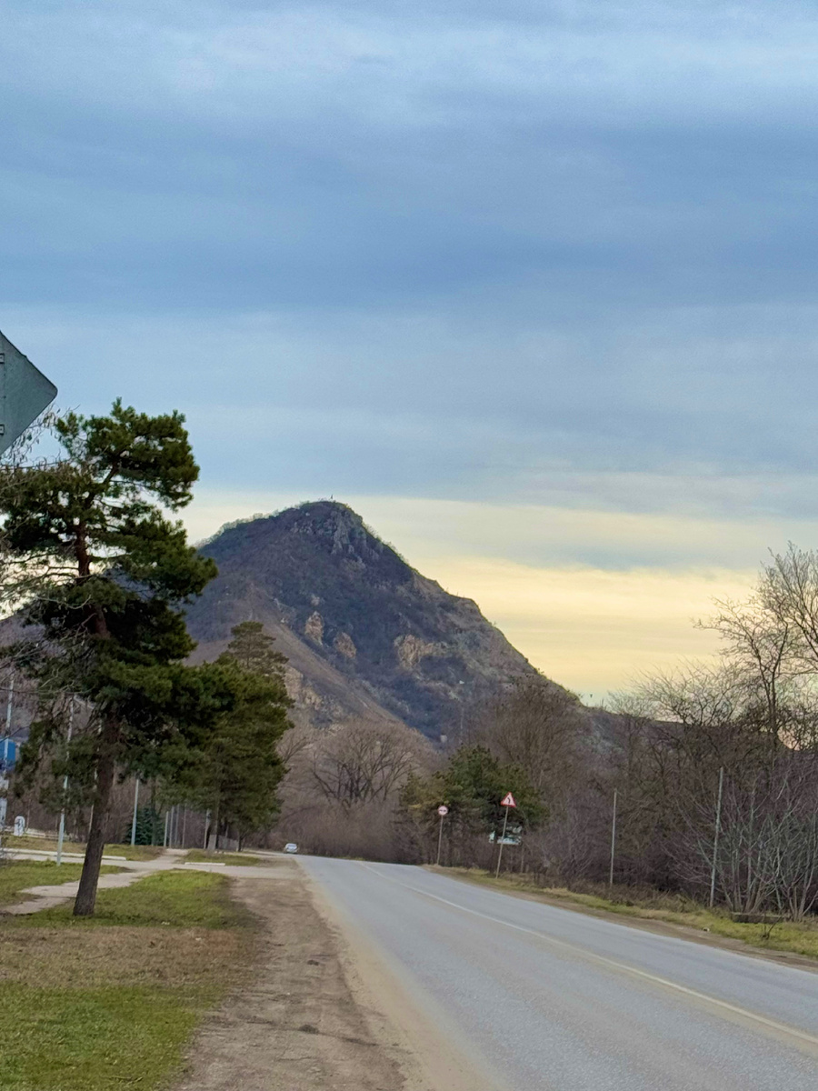 Январь, 2025г., фото Сад в стиле Paradise @