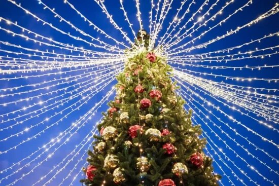    Фото: Александр Вдовенко