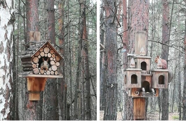    Фото: Сиб.фм/ Местные жители