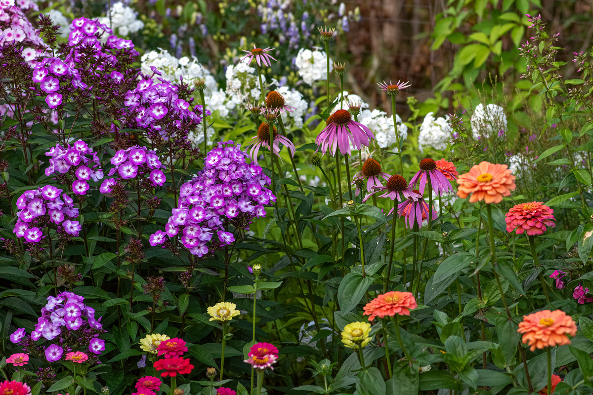 1. Деревенский цветник