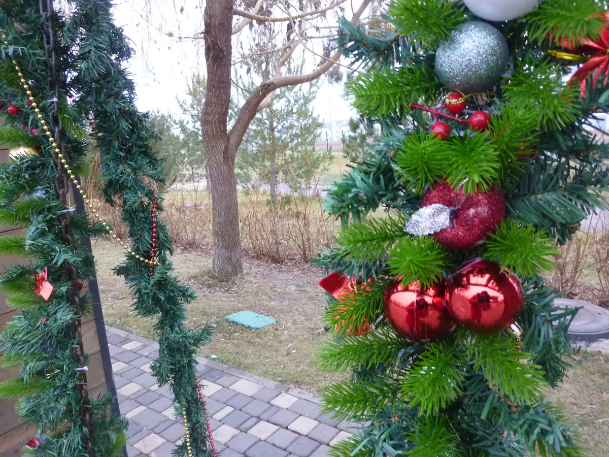 Новогодние качели в Черкасовском сквере Волгограда