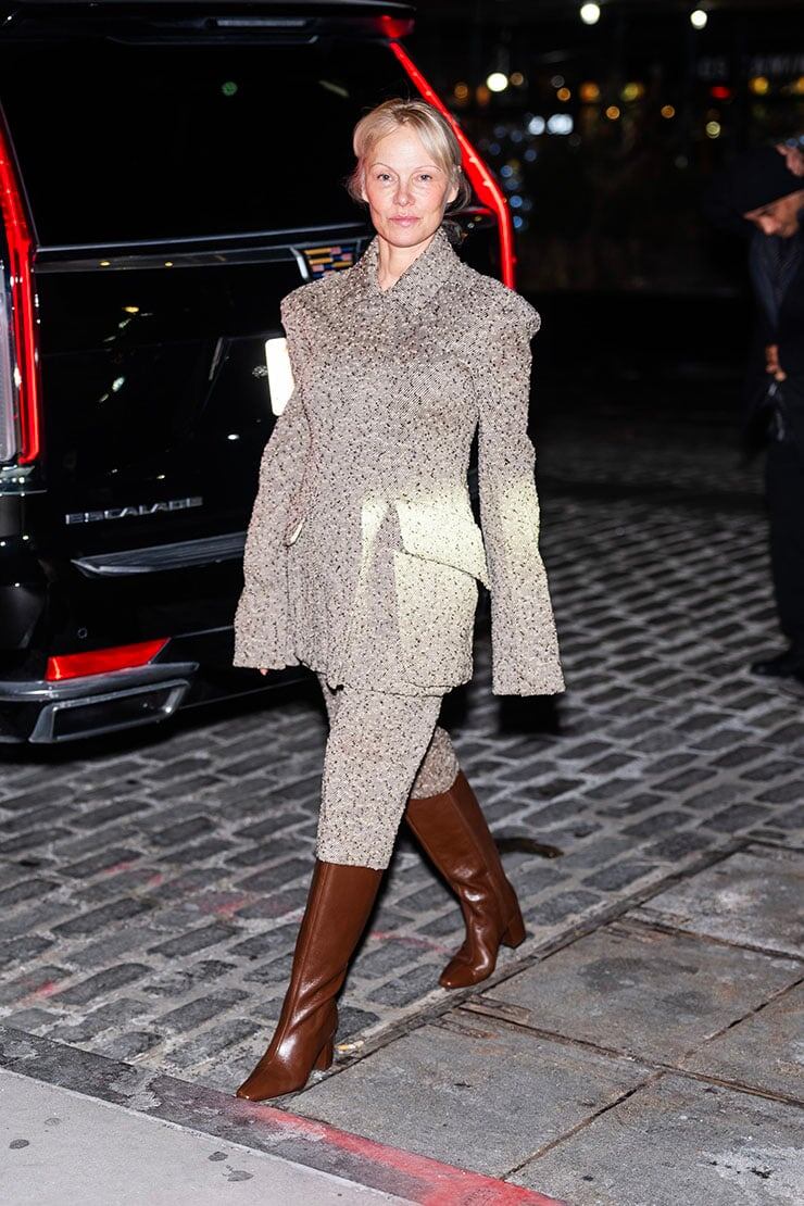 модная и стильная Памела Андерсон