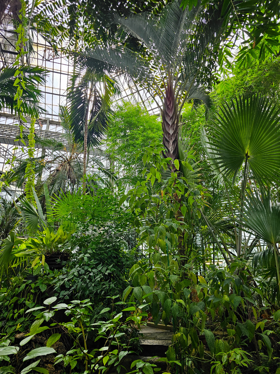 Ботанический сад.