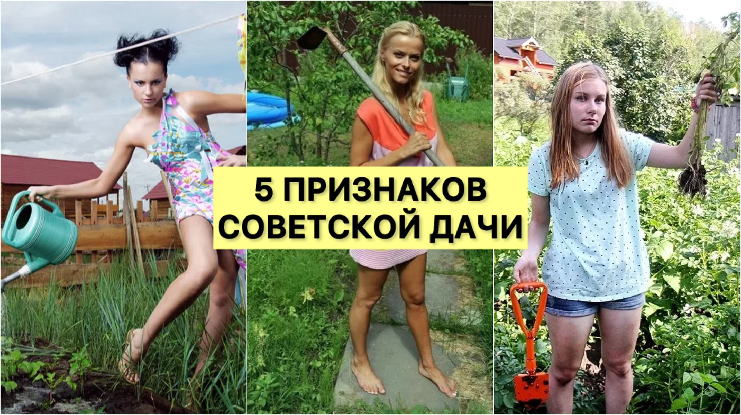 https://avatars.dzeninfra.ru/get-zen_doc/271828/pub_67850626801f5f28ad58d312_67850656c5ee0c0940119deb/scale_2400