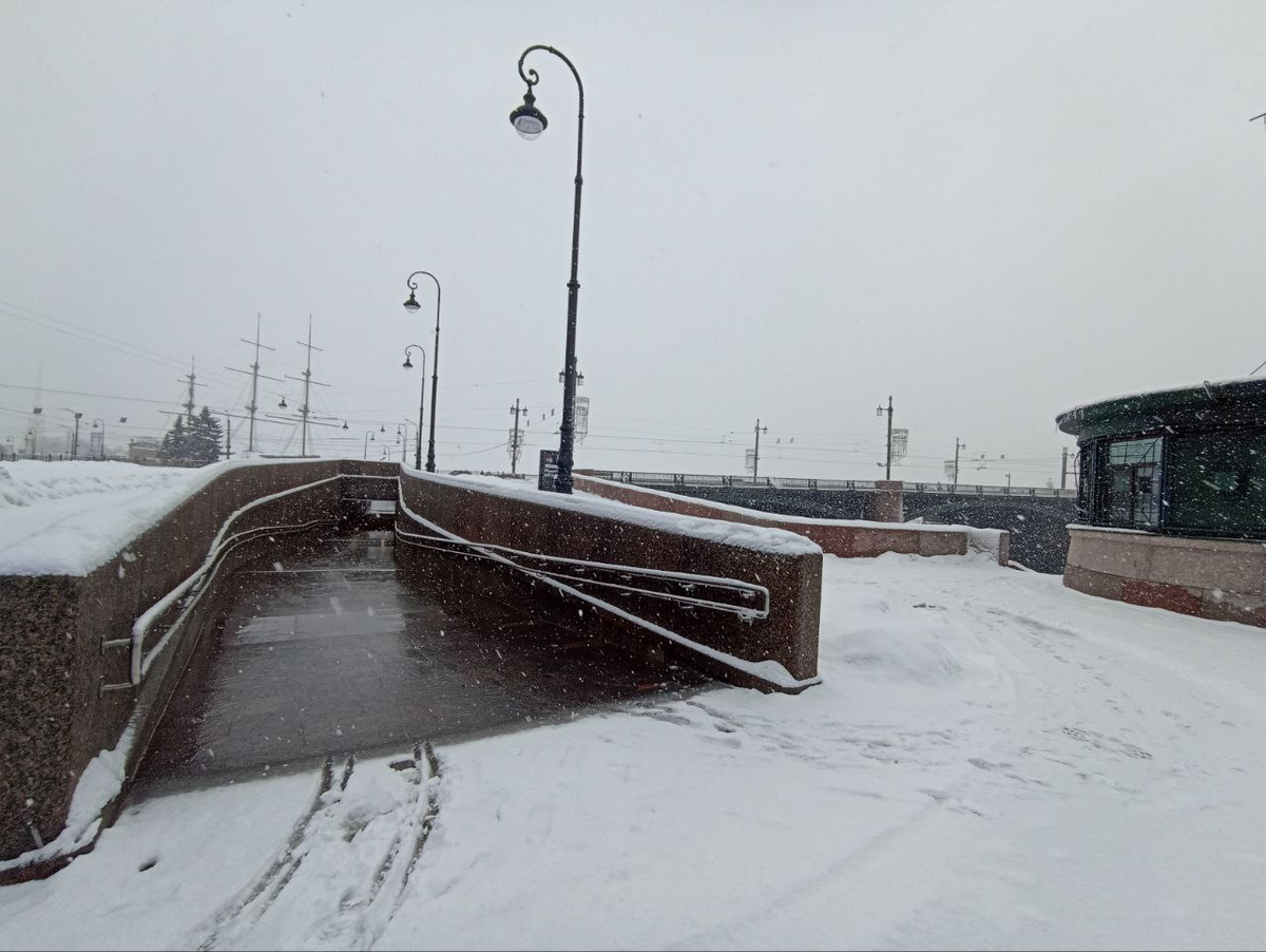 Вид со стороны Тучкова буяна. Фото автора