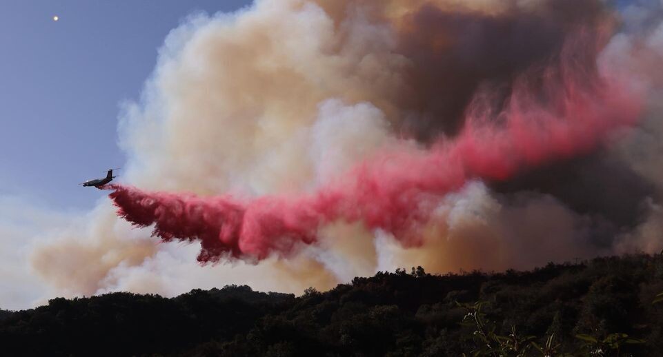    Qiu Chen / Global Look Press