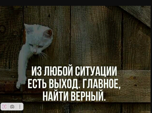 фото с интернета