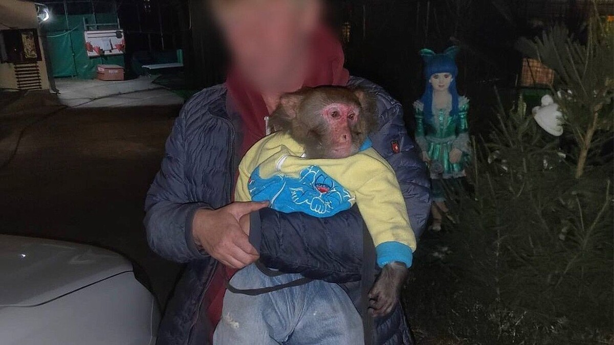    Фото: Полиция Сочи