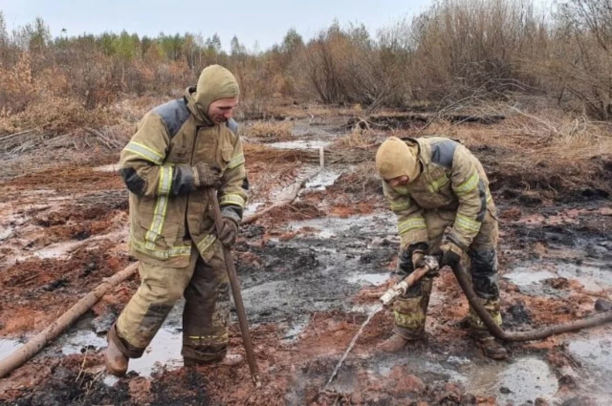    В Тверской области стартовал проект по вторичному обводнению торфяников