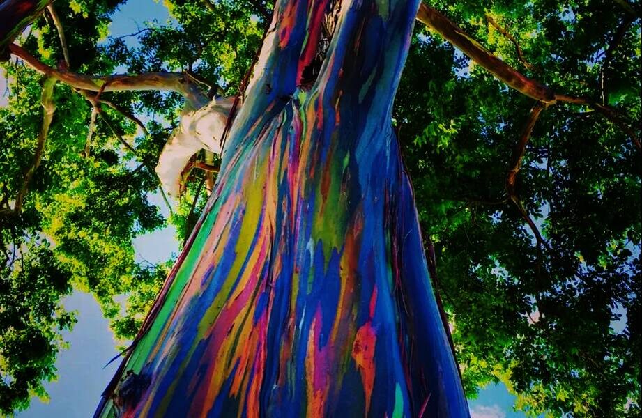    Фото: businessinsider.com