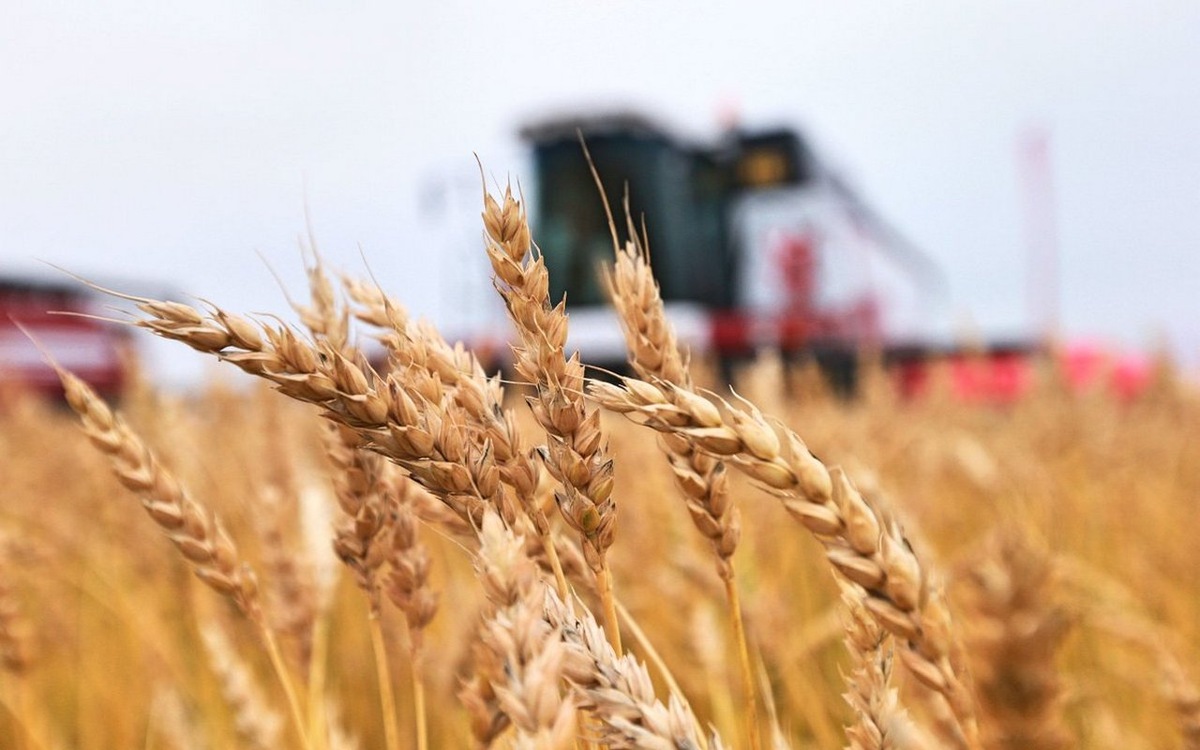    На развитие АПК и сельских территорий Липецкой области направят 6,5 млрд рублей Управления сельского хозяйства Липецкой области