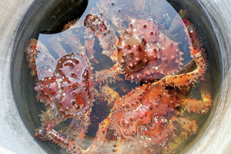    Фото: primamedia.ru Георгий