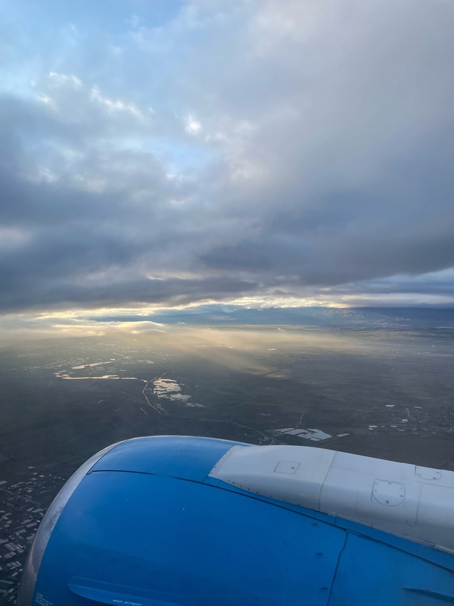 Посадка в аэропорту Звартноц