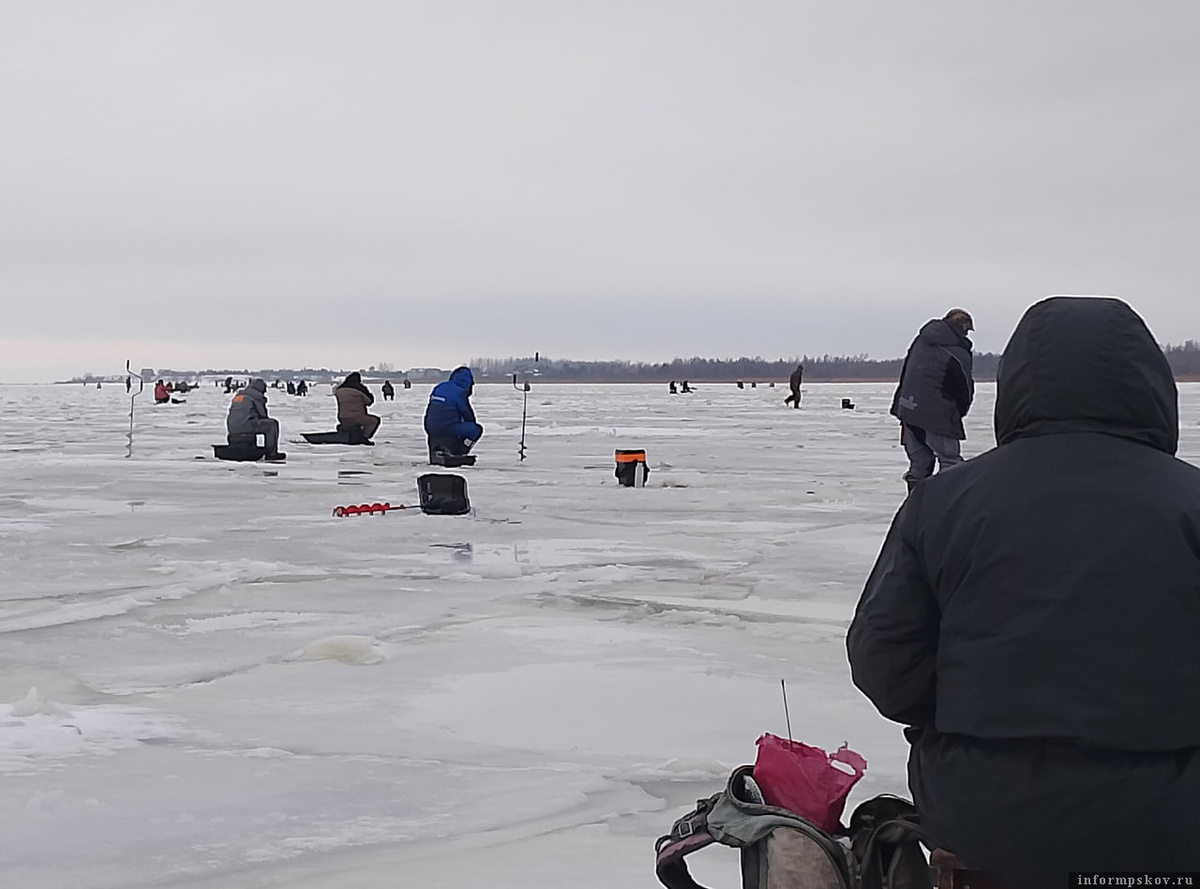Здесь и далее фото и видео из архива автора