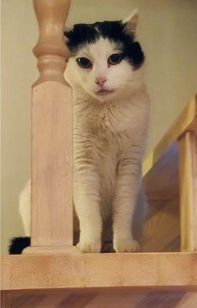 Белый в трауре