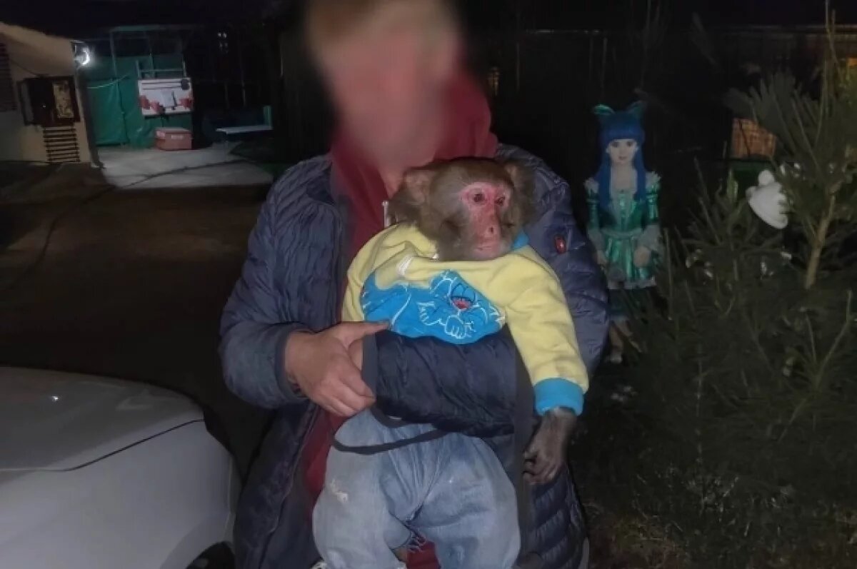    В Адлере у уличного фотографа изъяли обезьяну в комбинезоне