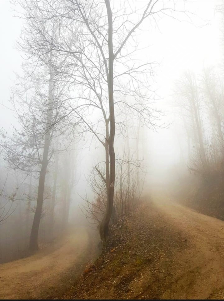 Сон о развилке - вид прямо из сна. Классное фото автора