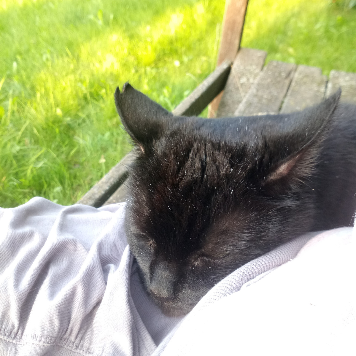 ...и на лавочке на прогулке)