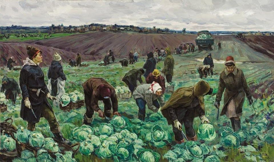 Картина Василия Борисенкова «Уборка капусты» 1958 года