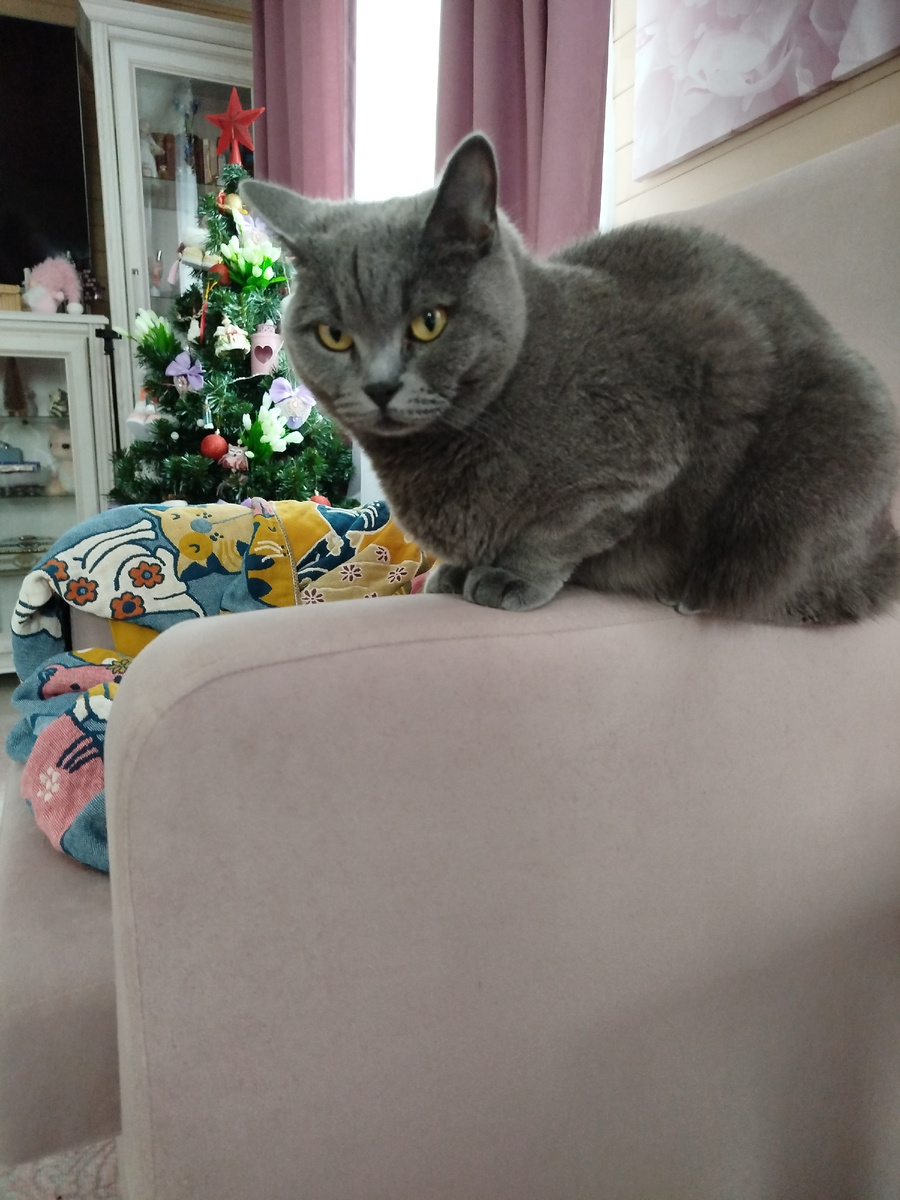 Бета:"На пенсию пойдёшь!"