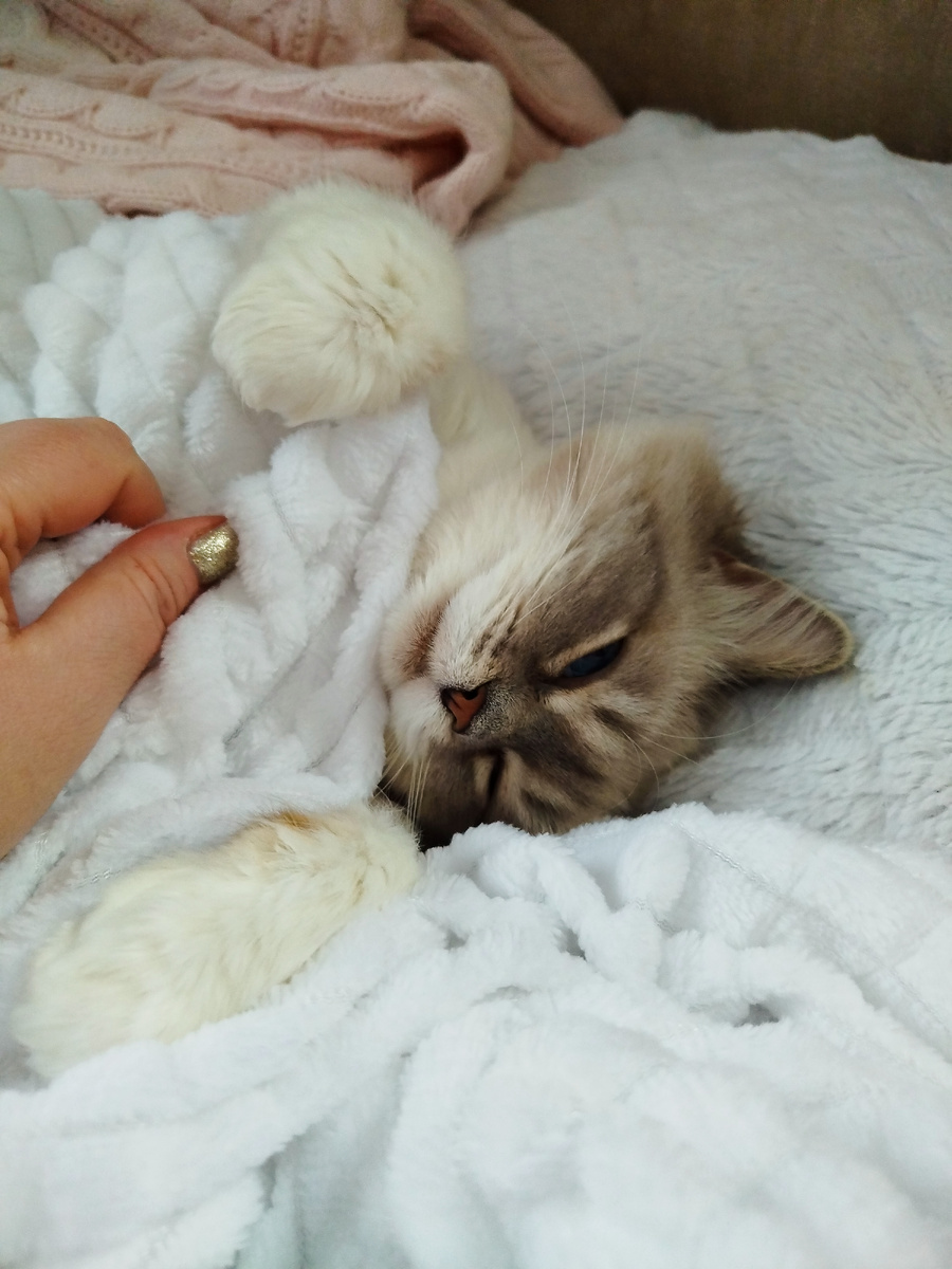 Фаня:"Пусть мама дома останется..."