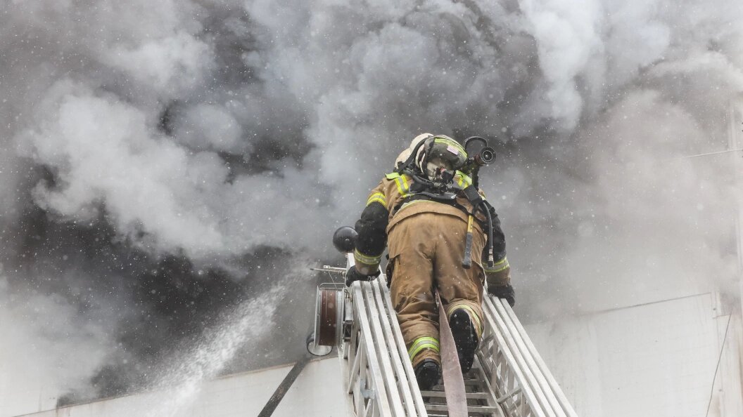    Belkin Alexey/Globallookpress