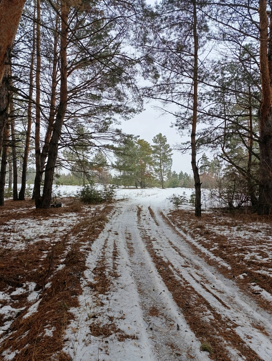 Вот столько снега ☹️
