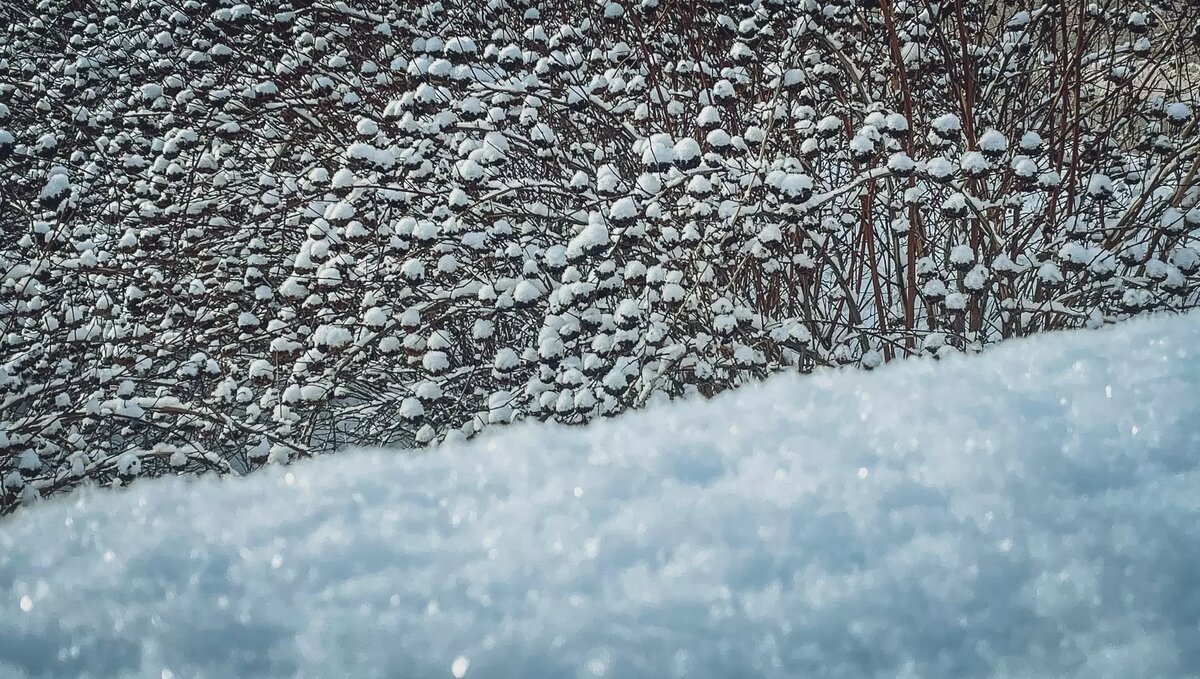     Источник: 1MI